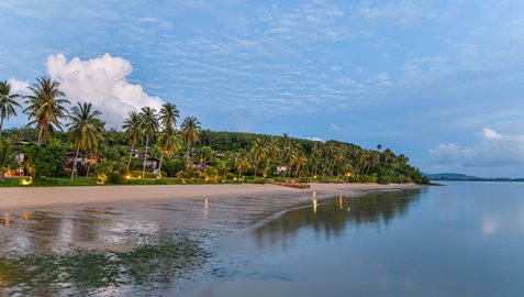 Coconut island